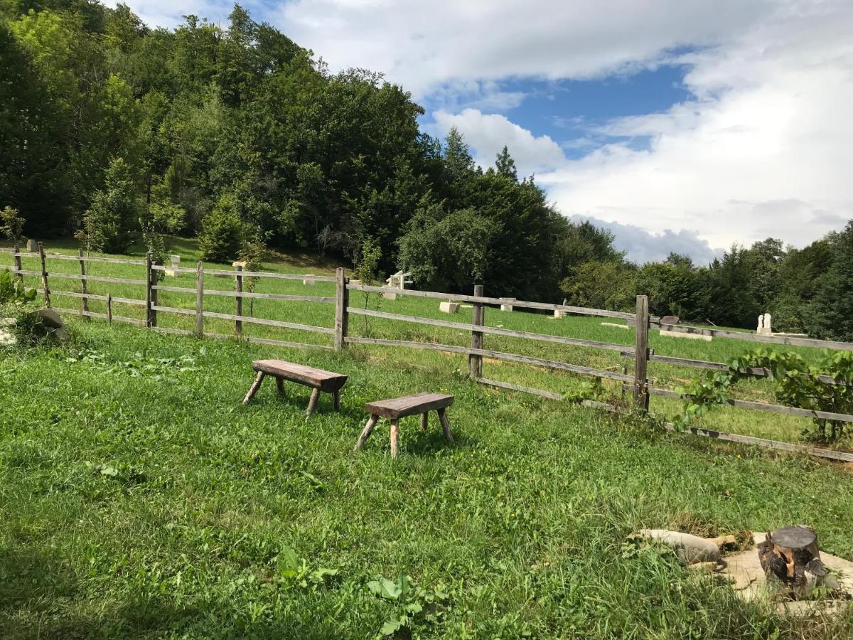 Apartamento Casutele Doftanei Teşila Exterior foto
