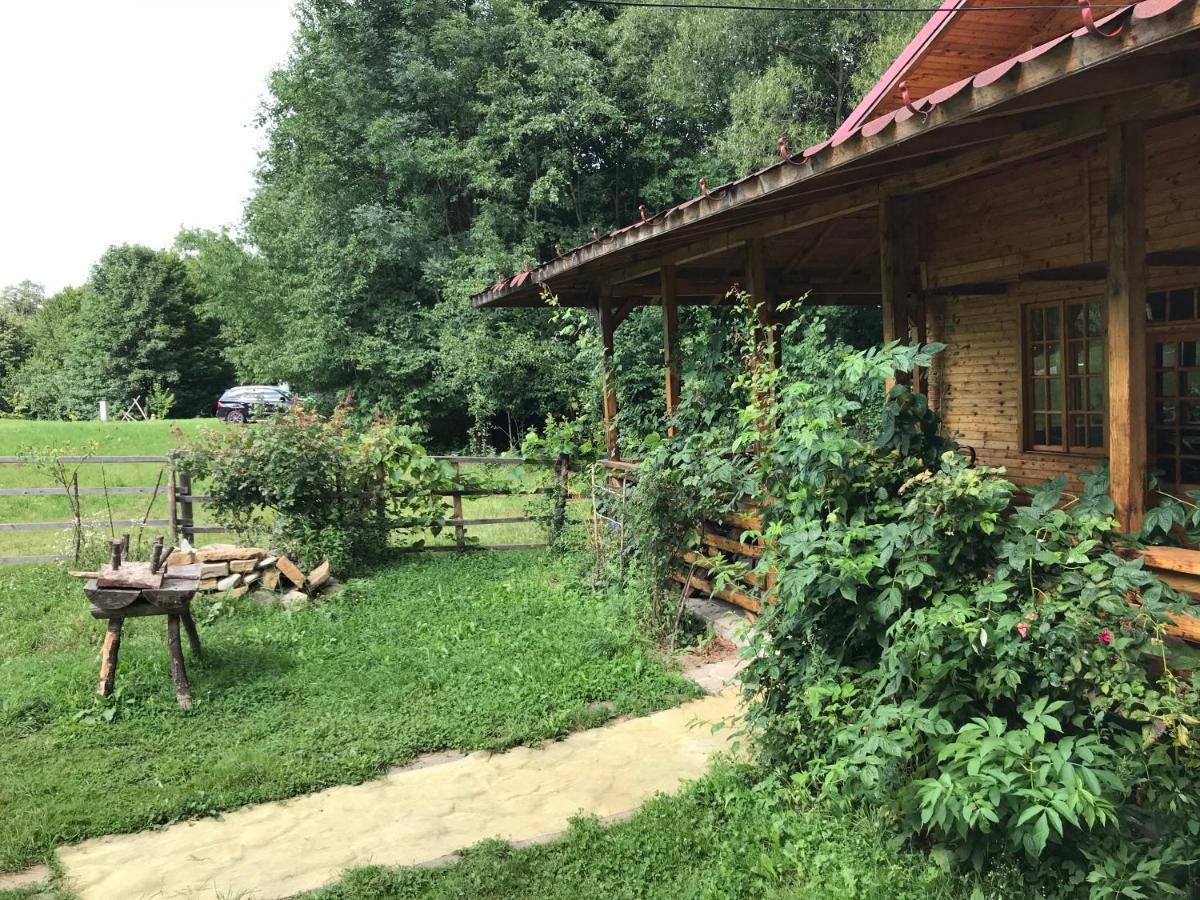 Apartamento Casutele Doftanei Teşila Exterior foto