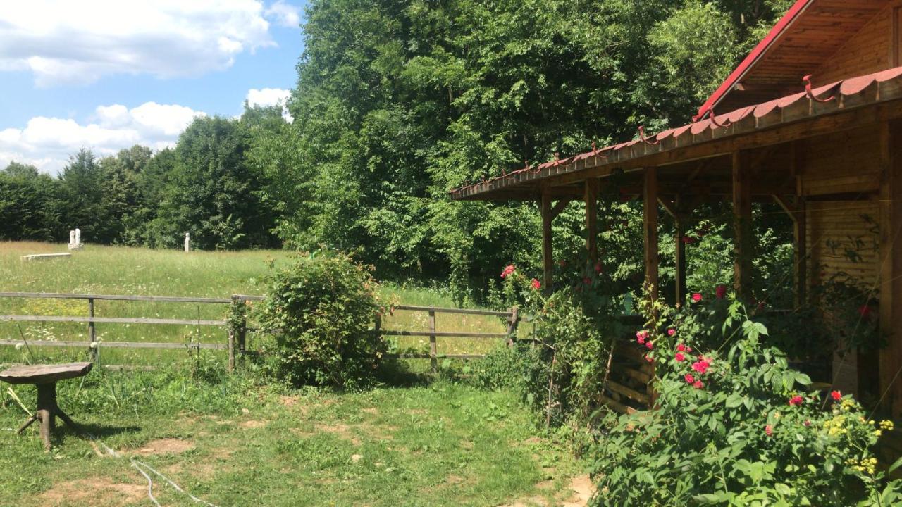 Apartamento Casutele Doftanei Teşila Exterior foto