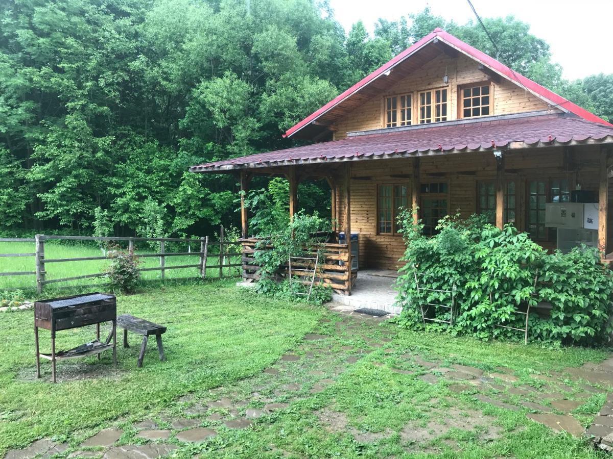 Apartamento Casutele Doftanei Teşila Exterior foto