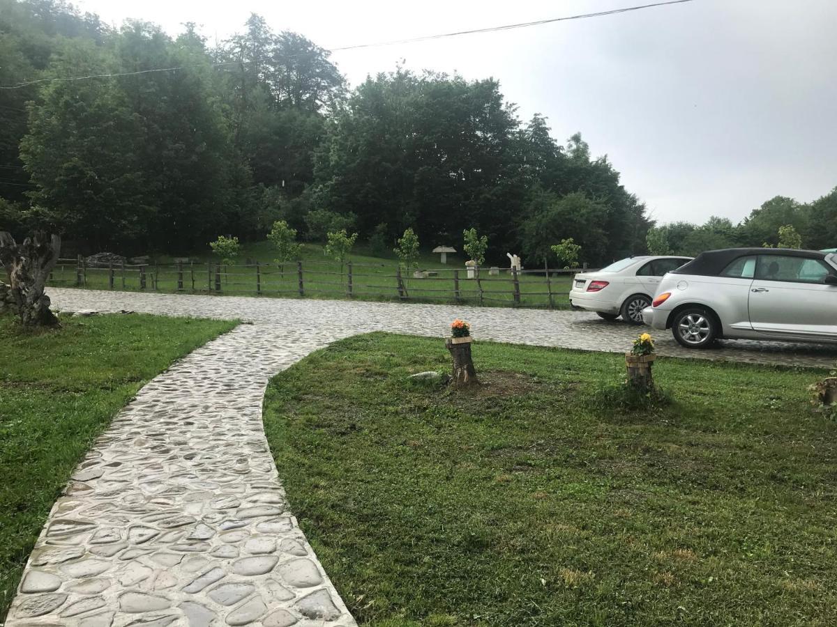 Apartamento Casutele Doftanei Teşila Exterior foto